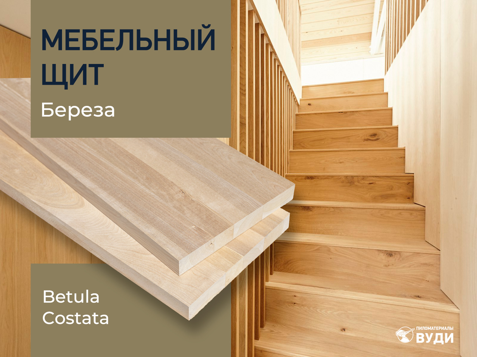 Мебельный щит цельноламельный Береза Betula Costata - изображение 1